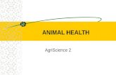 ANIMAL HEALTH AgriScience 2. Performance Indicators After completion of this unit, students.