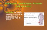Eukaryotic Membranes: Plastids and Vacuoles Vacuoles are single membrane sacs that separate some substance…