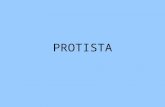 PROTISTA. Protista Characteristics eukaryotic most unicellular, some multicellular heterotrophic, autotrophic…