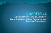 ORGANIZATION DEVELOPMENT Team Building, Action Research and Process Consultants.