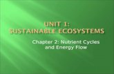 Chapter 2: Nutrient Cycles and Energy Flow.  What is an ecosystem?  All the interacting parts…