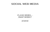 SOCIAL WEB MEDIA FLASH MOBS... SNAP MOBS? 2/10/10.