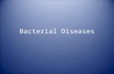 Bacterial Diseases. Pathogenicity “the state of producing or being able to produce pathological changes…