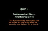Quiz 2 Ornithology Lab Birds – Final Exam practice see if you can identify the first photo, with some…