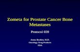 Zometa for Prostate Cancer Bone Metastases Protocol 039 Amna Ibrahim, M.D. Oncology Drug Products FDA.