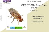 The University of Manchester Faculty of Life Sciences Transposable elements BIOL20332/20972 GENETICS…