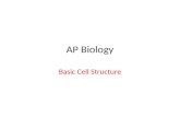 AP Biology Basic Cell Structure. Cells These are considered to be the basic unit of life. The cell is…