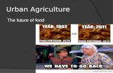 Urban Agriculture The future of food. Rapid Population Growth and Food Insecurity  Food insecurity.…