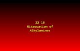 22.16 Nitrosation of Alkylamines. Nitrite Ion, Nitrous Acid, and Nitrosyl Cation H+ –O NO O NO H H+…