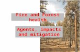 Fire and Forest health Agents, impacts and mitigation.