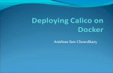 Deploying calico on docker