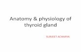 Thyrotoxicosis- complete review of anatomy, physiology, types and clinical features, treatment and Recent advances