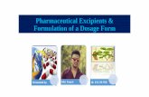 Pharmaceutical Excipients & Formulation of a Dosage Form