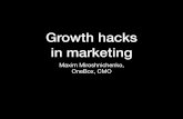 Growth hacks in marketing / HackIT 2017