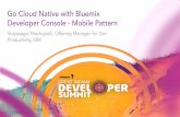 Go Cloud Native with IBM Bluemix Developer Console - GIDS17
