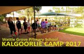 Wattle Grove Primary School - Kalgoorlie Camp 2017, Day 4, Thursday, November 2, 2017