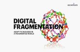 Digital Fragmentation