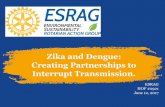 Zika and Dengue: Creating Partnerships to Interrupt Transmission (Honein)