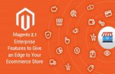 Magento 2.1 enterprise features to give an edge to your ecommerce store