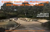 Cynefin meets the Maribyrnong and Moonee Ponds Creek