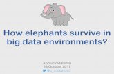 How elephants survive in big data environments
