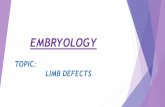 Embryology  limb defects