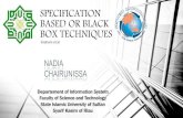 Specification Based or Black Box Techniques