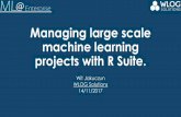 Large scale machine learning projects with r suite