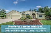 1615 Percheron Dr Trinity FL 34655 | Pool Home for Sale
