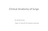 Clinical Anatomy of lungs