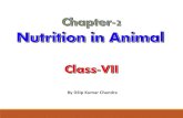 02. Nutrition in animals by Dilip Kumar Chandra