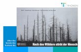 Lecture 4: Monitoring the state of forests and its importance in Europe (and beyond) - Tanja Sanders