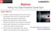 Webinar: Hitting Your Data Protection Sweet Spot
