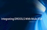 Integrating DROOLS With Mule ESB