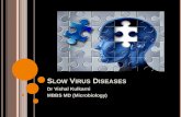 Slow virus diseases