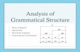 Analysis of Grammatical Structure