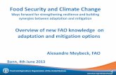 Overview of new FAO knowledge on adaptation and mitigation option
