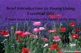 Young Living Essential ils