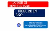 Fissure in-ano- lower gi hemorrhage