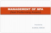 Management of NPA { KAMAL (MBA)(IFTM MORADABAD)