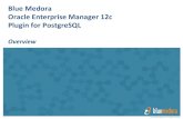 Blue Medora Oracle Enterprise Manager (EM12c) Plug-in for PostgreSQL