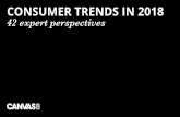 Consumer Trends in 2018: 42 Expert Perspectives - Canvas8