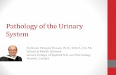 Professor Peivand Pirouzi: Pathophysiology of the urinary system 2016