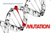 Mutation Gene Disorders Epidermodysplasia verruciformis