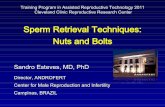 Sperm retrieval techniques - nuts and bolts