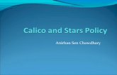 Calico and stars policy