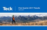 Q1 2017 Financial Report