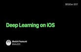 Deep Learning on iOS #360iDev