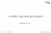 cgo and Go plugins