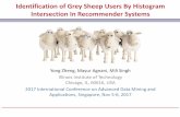 [ADMA 2017] Identification of Grey Sheep Users By Histogram Intersection In Recommender Systems